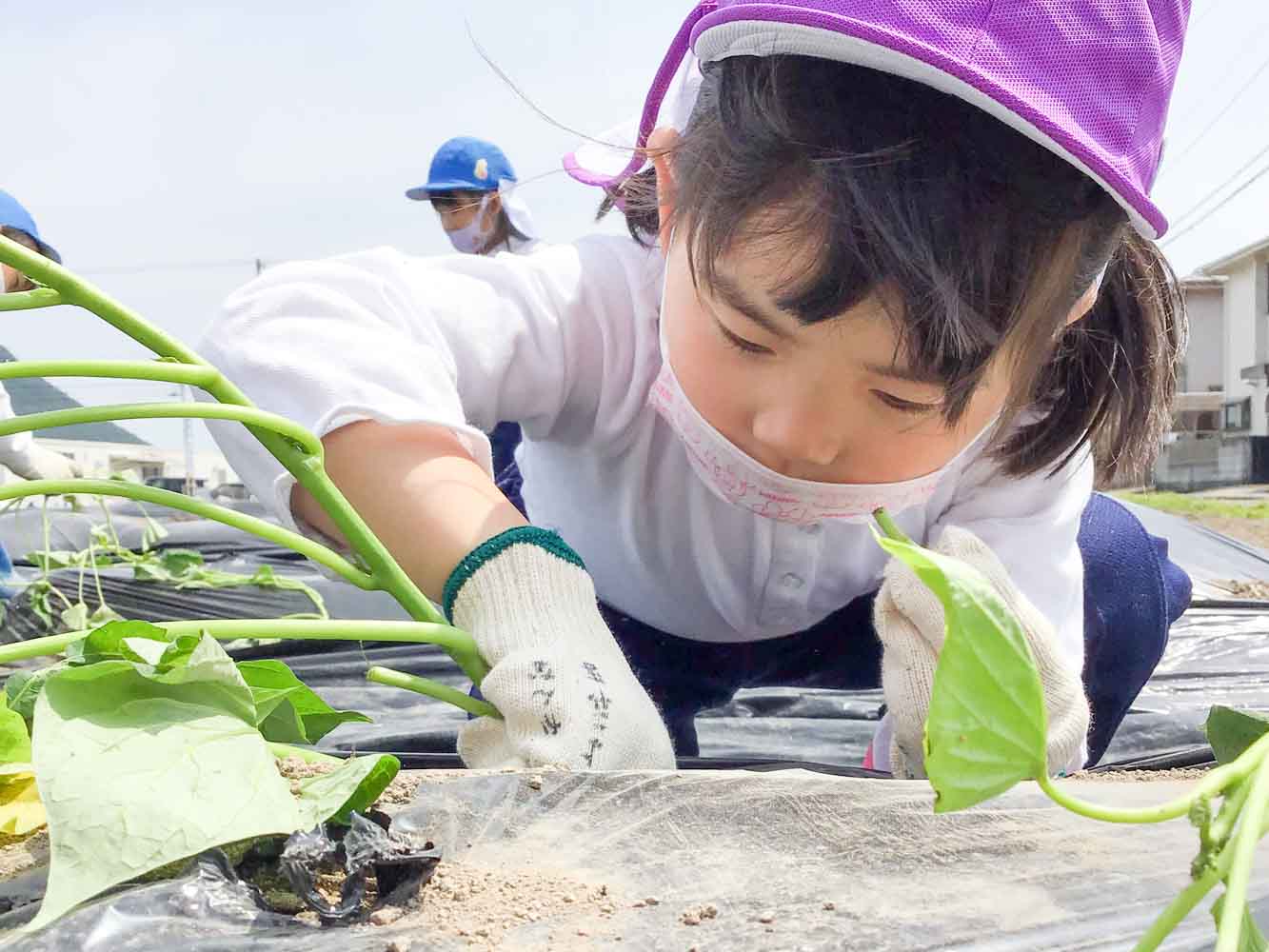 植物を育てる園児
